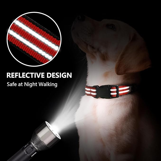 Hikiko Martingale Dog Collars Reflective Nylon Dog Collar with Quick Release Buckle Adjustable Training No Slip Dog Collar (Medium, Tangerine)