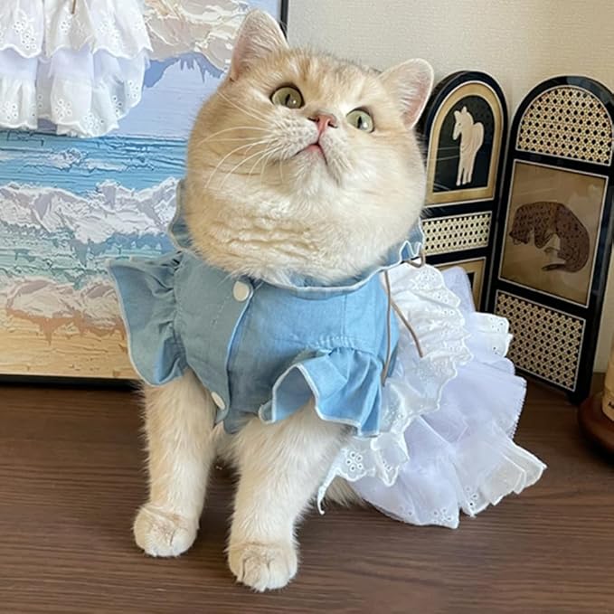 Girl Dog Denim Dress with Flared Sleeves Dog Jeans Jacket Blue White Puppy Clothes for Small Dogs Cat Apparel Cake Skirt Pet Outfit (Blue, Small)