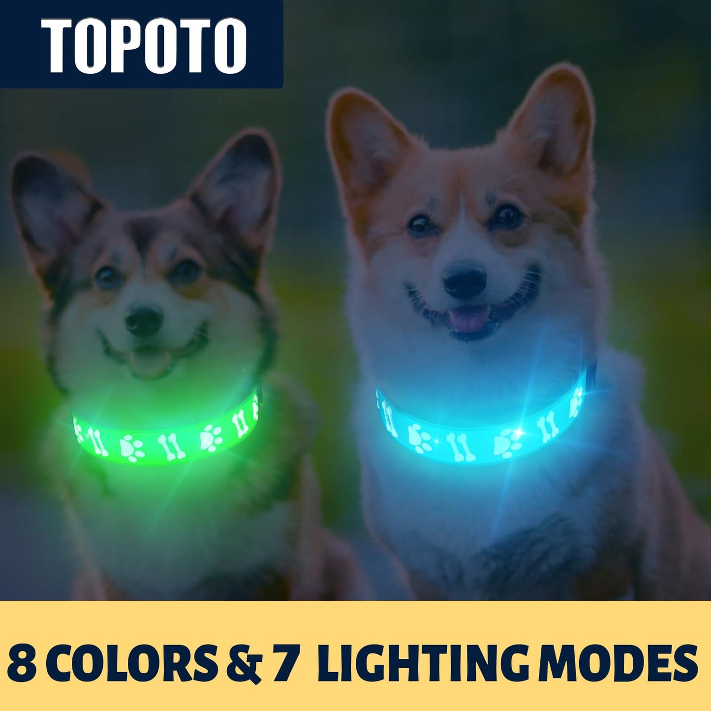 TOPOTO Light Up Collar for Medium Dogs, 15 Glowing Modes/ 3D Design/Adjustable/Rechargeable/Waterproof Flashseen LED Dog Collars, Dog Collar, Blue