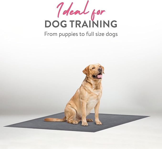 Inspire XL 36 x 36 Ultra Underpads Incontinence Bed Pads | Contemporary Modern Design | Hospital Bed Pads Disposable Adult Extra Large Chux Pads | Chucks Pads Disposable Adult | Medical Bed Linens.