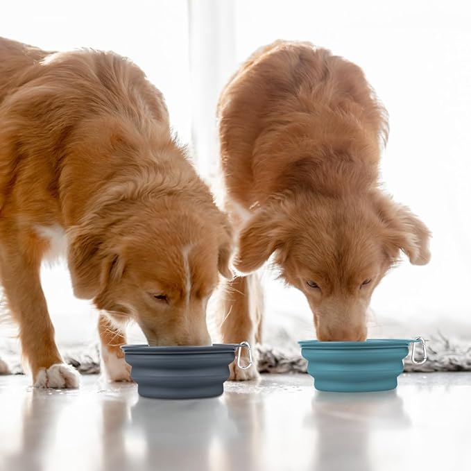 Kytely Collapsible Dog Bowls 2 Pack - 1500ml Portable Pet Food & Water Bowl for Travel, Hiking, Walking - Foldable Feeding Dish with Carabiner Clip for Dogs & Cats - X-Large (Blue & Grey)