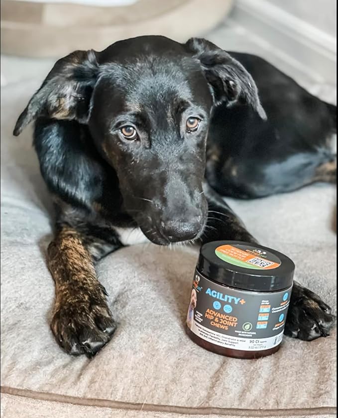 Googipet Hip and Joint Supplement for Dogs - Glucosamine for Dogs – Soft Chews w/Green Lipped Mussels, Turmeric, & Collagen for Arthritis & Mobility for All Ages & Breeds