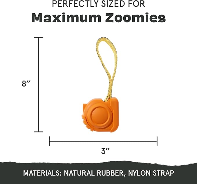 Barkbox Tug Measure Durable Dog Toy, Perfect for Strong Chewers and Interactive Play - Large