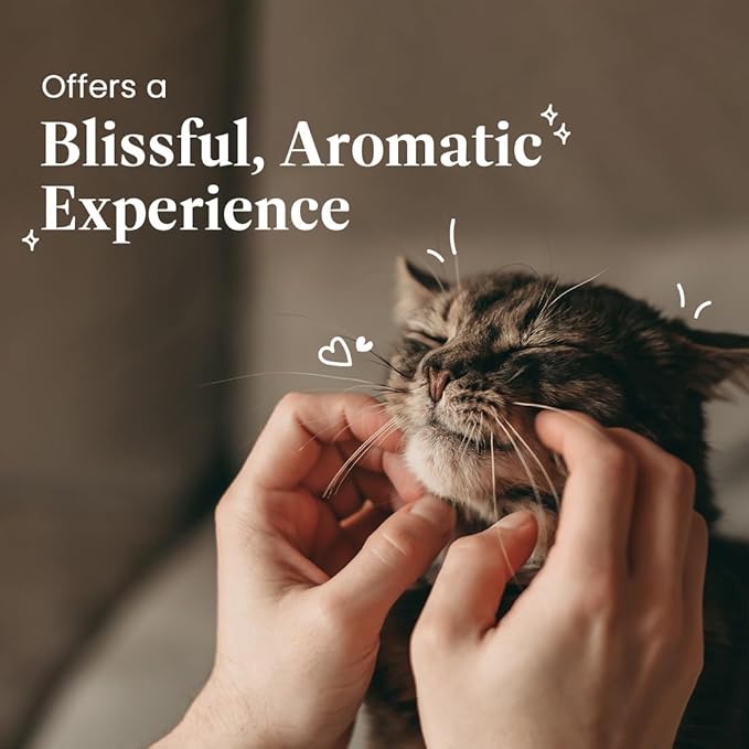 Best Shot Spa Oatmeal Body Wash, Lemon Vanilla, 16 oz