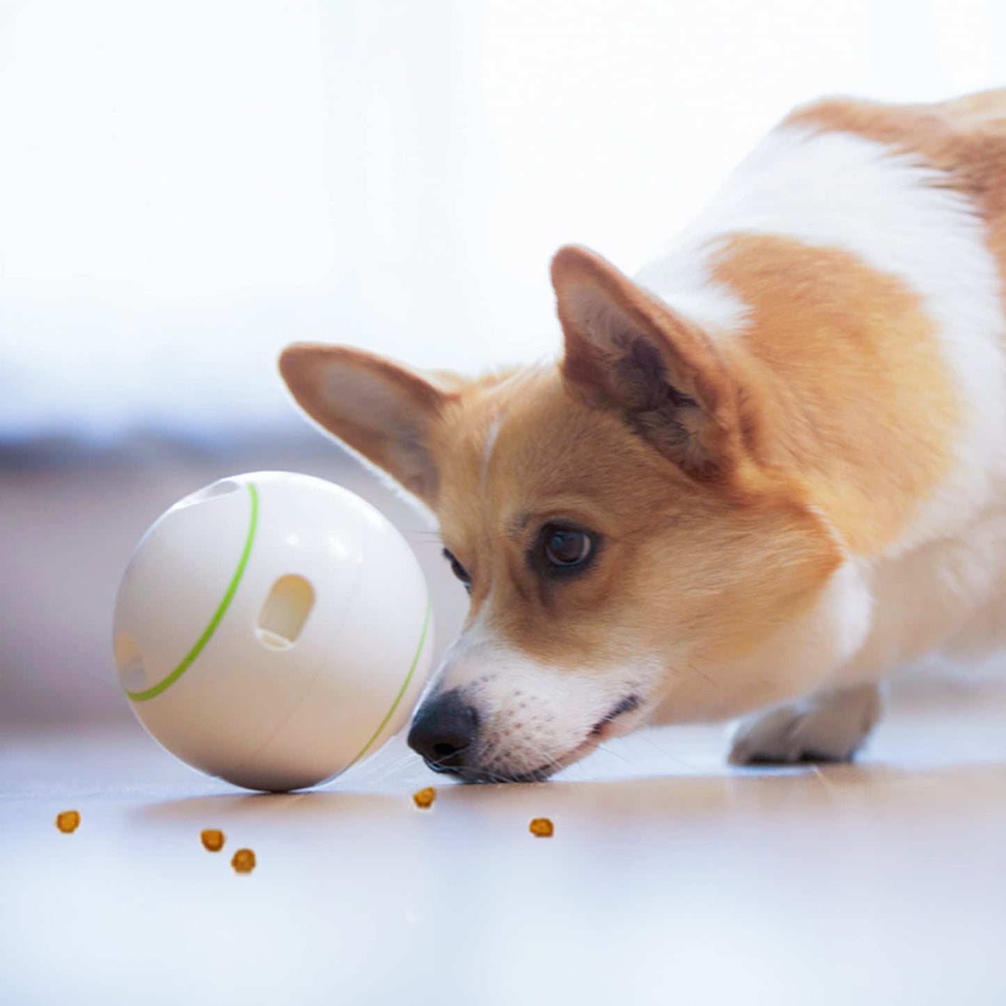 PETGEEK Bundle 2 items Treat Dispenser Dog Toys Automatic Dog Bone Toy & Gigwi Interactive Dog Puzzle Toys Automatic Pet Feeder with Dual Power Supply and Remote Control