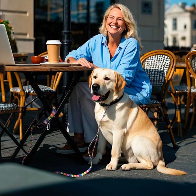 TSPRO Hands Free Dog Leash for Medium to Large Dogs, Adjustable Durable Leash with Comfortable Safety Padded Handle, Heavy Duty Metal Clasp for Walking, Running, Training (Multicolor)