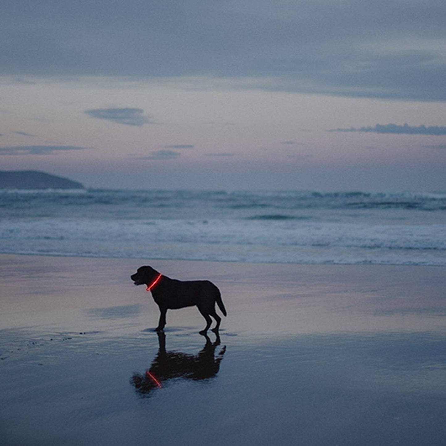 2-Pack LED Dog Collar, Light Up Dog Collars,Rechargeable Dog Lights for Night Walking，Universal, Reusable Safety Necklace for Small Medium Large Dogs RED&Pink