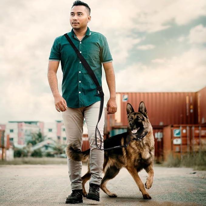 TSPRO Hands Free Dog Leash for Medium to Large Dogs, Adjustable Durable Leash with Comfortable Safety Padded Handle, Heavy Duty Metal Clasp for Walking, Running, Training (Khaki)