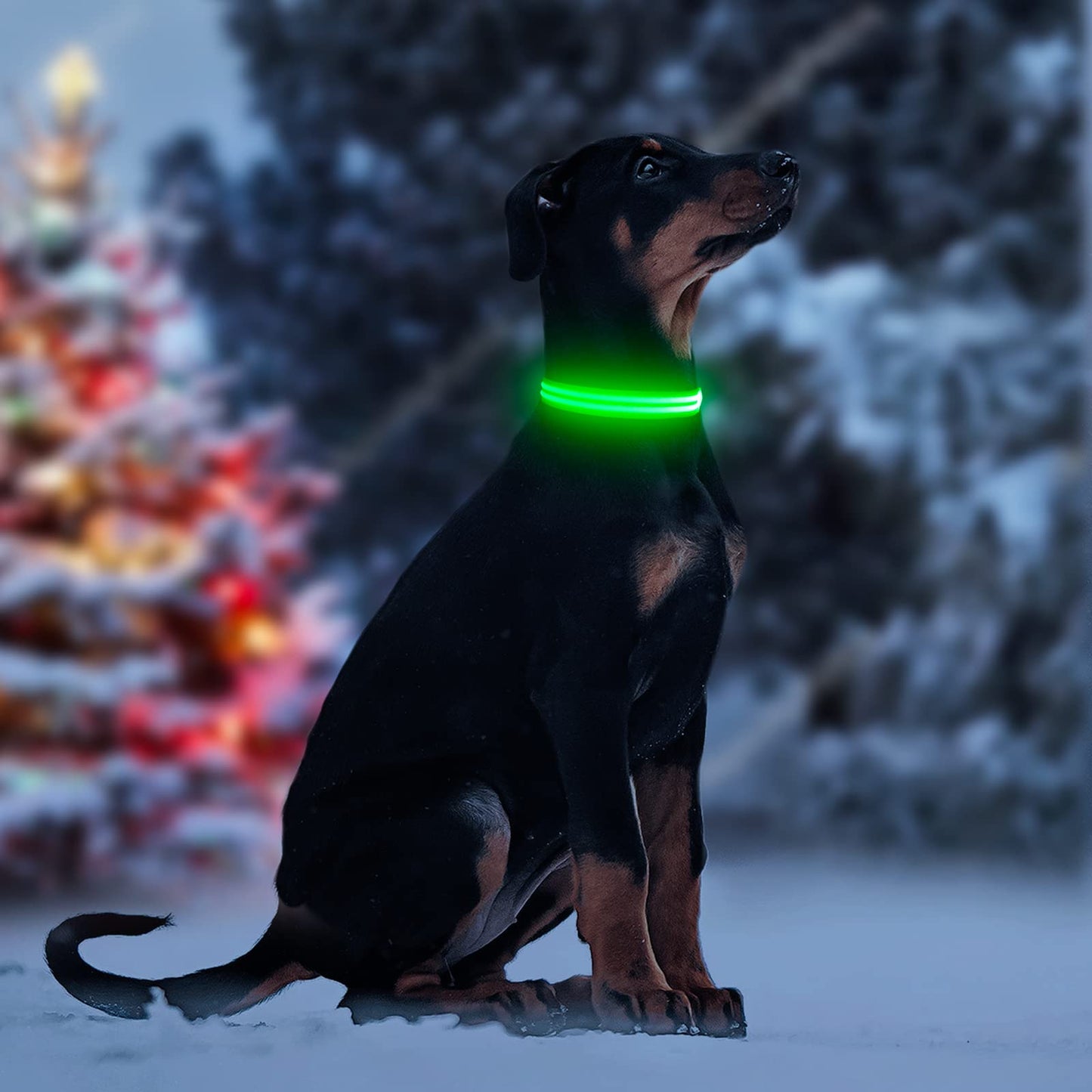 HIGO LED Dog Collar - Rechargeable Light Up Dog Collars Glow in The Dark, Flashing Dog Lights for Night Walking (Small, Green)
