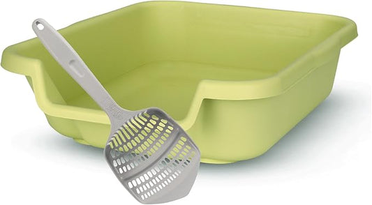 KittyGoHere Senior Cat Litter Box 1 Pack, Small Green Low Entrance Kitty Litter Box, Sized for Cats Comfort, Perfect for Senior and Arthritic Cats, Made in USA – Includes Long-Handle Jumbo Scoop