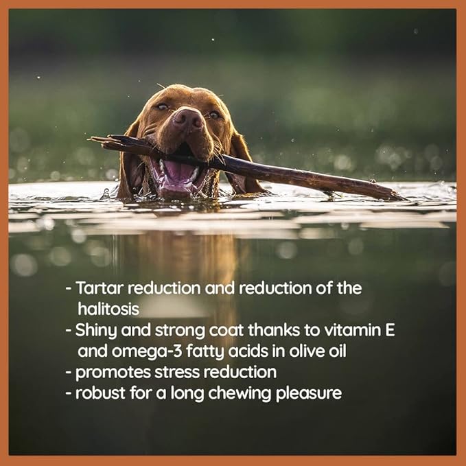 Wildfang® Olive Wood Chewing Sticks for Dogs, Large - Tough Chew Toys for Aggressive Chewers, Puppy Chew Toys for Teething, Training for Chewing Muscles, Olive Wood Stick for Dog (Under 33lbs)