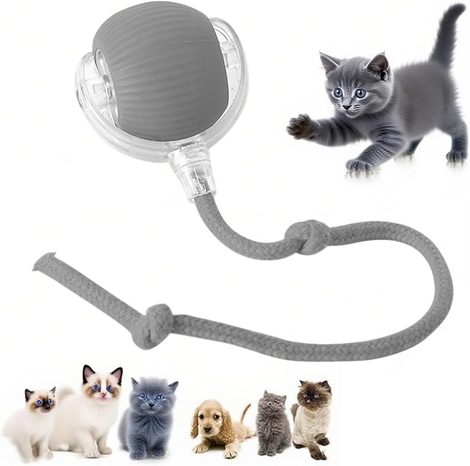 360° Smart Automatic Rolling Pet Ball - Interactive Dog & Cat Toy for Indoor Cats & Kittens (Grey)