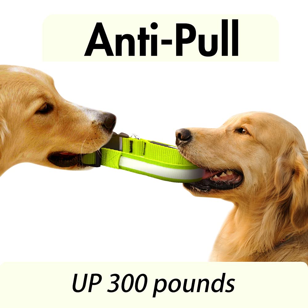 YFbrite Ultra Light Adjustable LED Dog Collar, Light up Dog Collars Rechargeable Glowing in The Dark Collars Visiblity & Safety for Small, Medium, Large Dogs (Green, Medium)