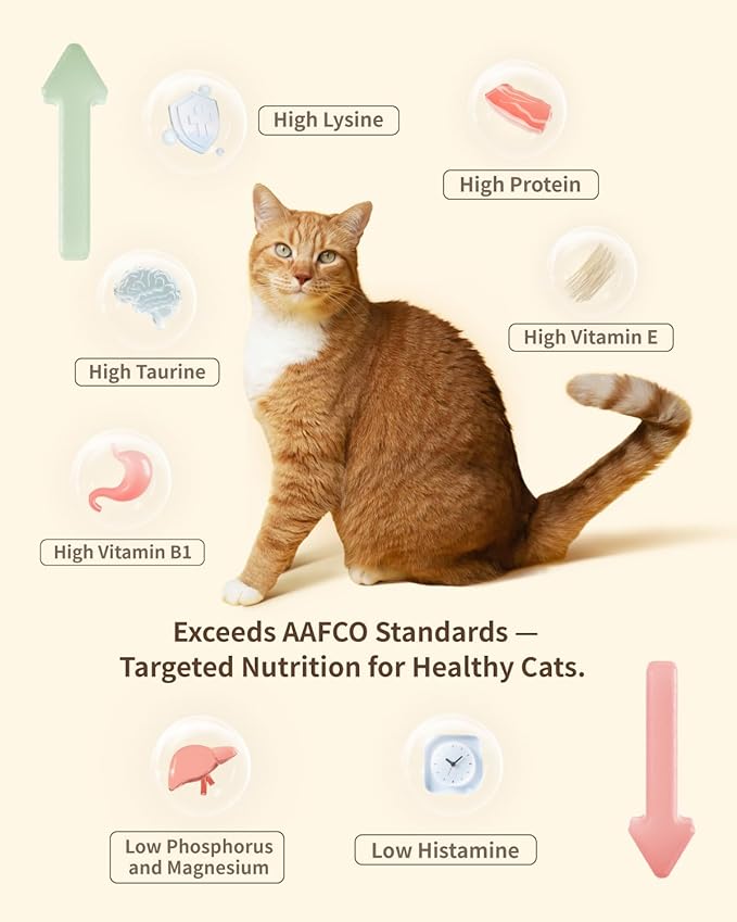 Freeze-Dried Raw Cat Food, 97% Animal Origin Dry Food for Cat, High Protein Treat & Topper (Chicken & Duck - 14 Ounce)