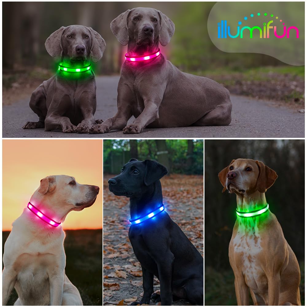 Illumifun Light Up Dog Collar - USB Rechargeable Dog Light Glow in The Dark - High Visibility LED Dog Collar for Night Walking (Medium, Fluorescent Green)