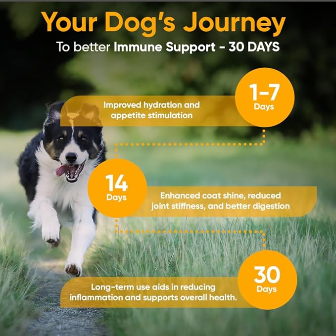 iHeartDogs Bone Broth & Collagen for Dogs - Bone Broth & Mushroom Gold Powder Supplement for Immune System Support, Improved Mobility & Flexibility and Natural Detox - Turkey Tail Mushroom for Dogs