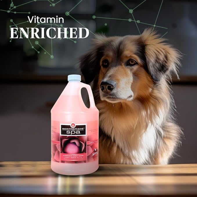 Best Shot Scentament Spa Caressing Body Wash, Fresh Apple Lily, 1 gallon