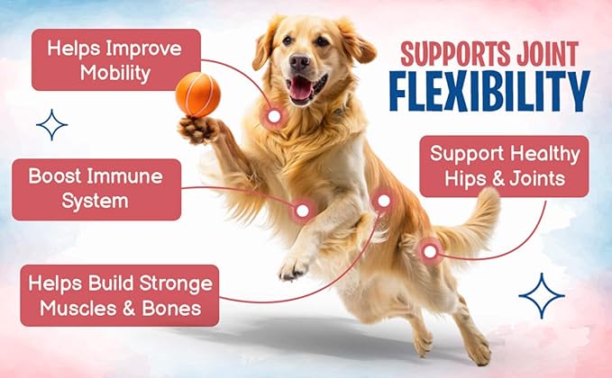 Flying Dog Probiotics for Dogs, Digestive Health, Diarrhea & Bowel Support, Dog Probiotics Soft Chew for Pet Immune System, Pumpkin, Dog probiotics for Yeast, Itchy Skin and Itchy Ears