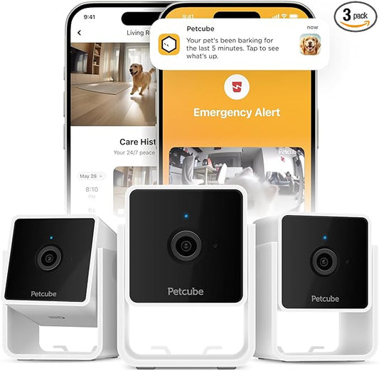 Petcube Cam Pack of 3 Indoor Home Security Cameras with 1080p HD Video, 2-Way Audio, Motion Detection, and Phone App, Night Vision Wi-Fi Camera for Apartment Security, Video Baby Monitor, Pet Camera