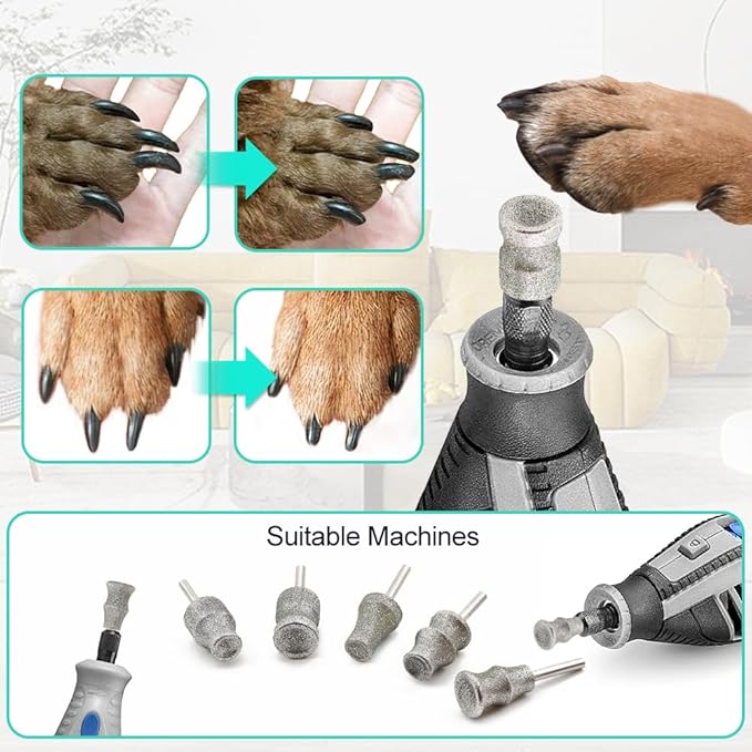 Dog Nail Grinder Bits - 5pcs 1/8" Animal Diamond Rotary Bit for Dogs and Cats, Pet Nail Grinder Wheel for Home Grooming Tools and Animal Nail Care