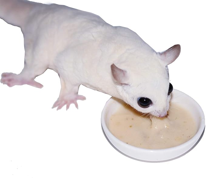 Instant-HPW - All Natural Vitamin Enriched Sugar Glider Food - Healthy & Nutritious - High Protein Wombaroo - Staple Diet (8 oz)