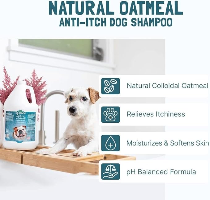 Bio-Groom Oatmeal Dog Shampoo - for Allergies and Itching, Cruelty-Free, Dog Bathing Supplies, Puppy Shampoo for Sensitive Skin, Made in USA, Anti-Itch Dog Products - 12 fl oz 2-Pack