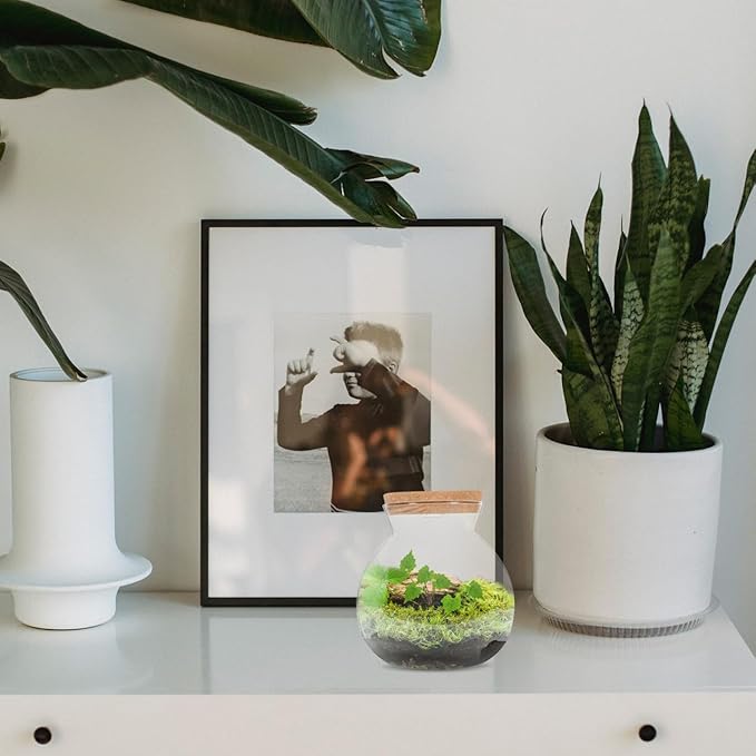 Fish Bowl with LED Light - Small Betta Fish Tank with LED Lighting and Lid Glass Fish Bowl Small Aquarium for DIY Landscape