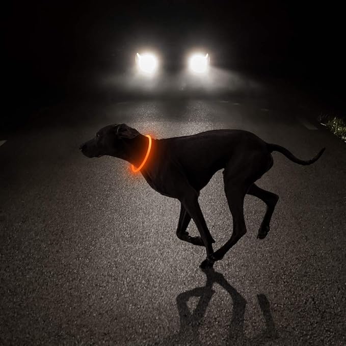 HIGO Light Up Dog Collar USB Rechargeable LED Dog Collar Glow in The Dark, TPU Flash Dog Necklace Light Make Your Dogs Be Visible& Safe (Orange)