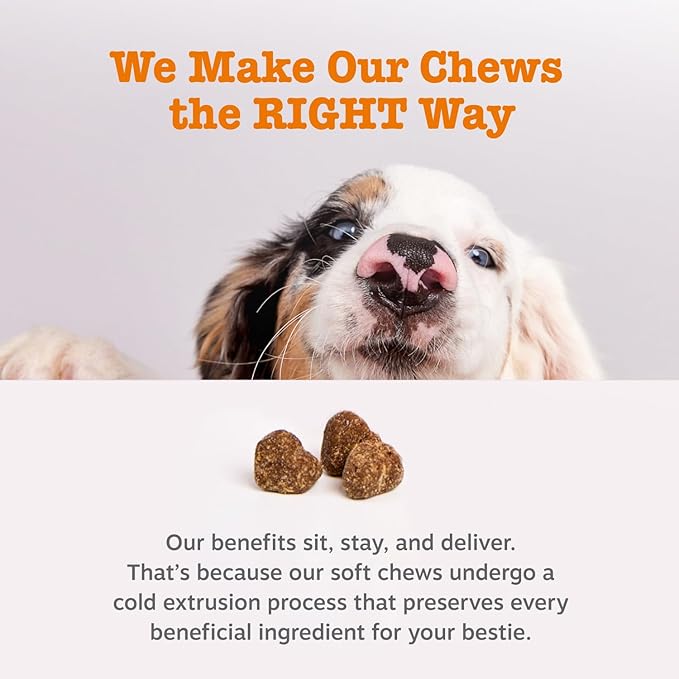 Zesty Paws Dog Allergy Relief Chews, Dog Probiotics for Itchy Skin and Ears, Lamb, 250ct