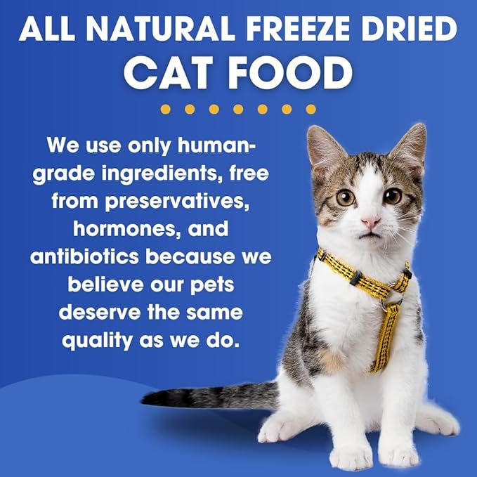 Freeze-Dried Raw Cat Food - Kangaroo & Lamb Formula, High Protein, Grain-Free, Whole Ingredients, No Additives, Meal Mixer or Topper - Supports Healthy Digestion, Coat, and Joints