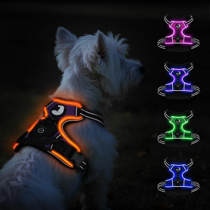 Taglory Light Up Dog Harness, Rechargeable No Pull Dog Vest with 3 Lightning Modes, Reflective Dog Harness with 2 Leash Clips & 4 Adjustable Slide Strips for Small Dogs, Purple-Orange, S