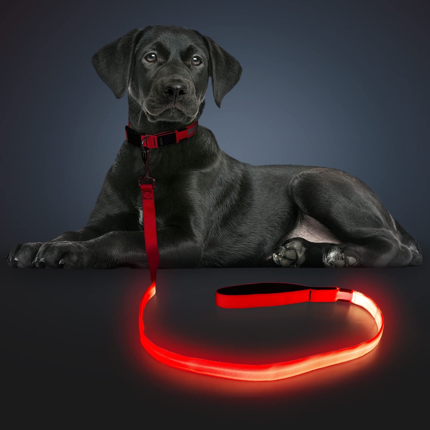 Kpuplol LED Light Up Dog Leash 3 Lighting Modes USB Rechargeable, High Visibility Up to 400 Yards Safety Glow in The Dark Dog Leash for Large Medium Small Pets