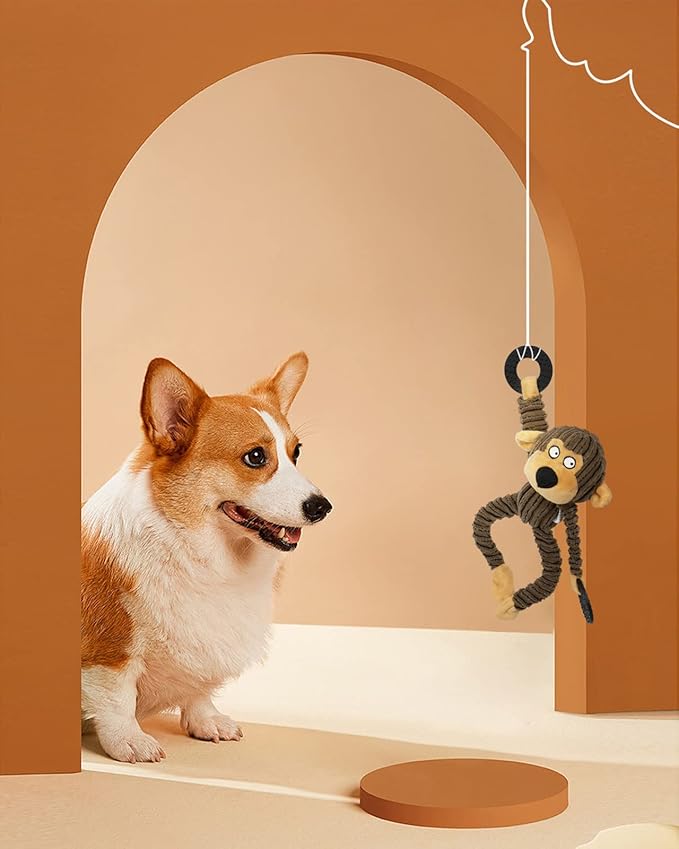 HGB Squeaky Dog Toys, Plush Dog Chew Toys for Puppy Teething, Pet Training and Entertaining, Cute Interactive Dog Toys for Small and Medium Dogs