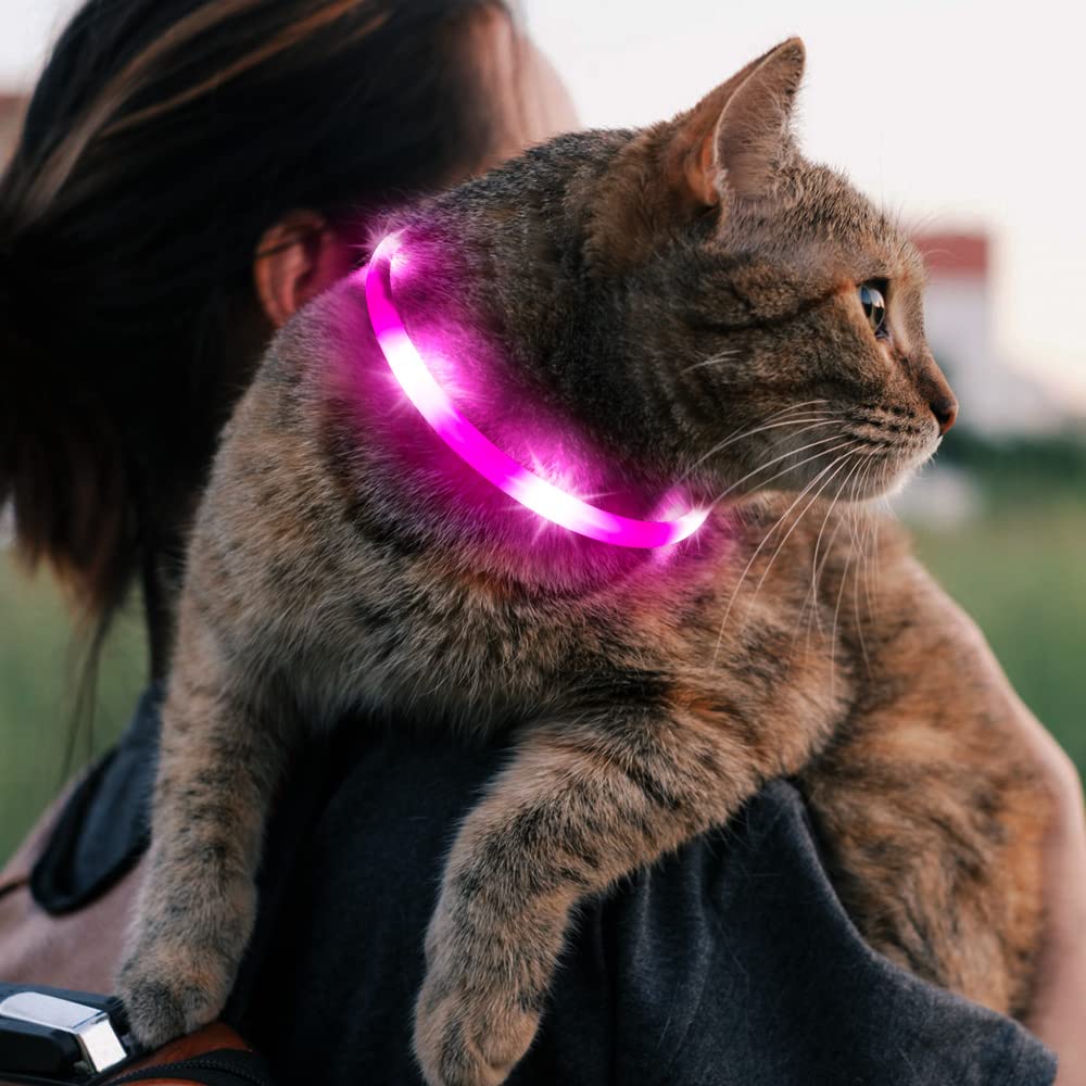 BSEEN Light Up Dog Collar, Silicone LED Dog Collar Rechargeable Glowing Puppy Collar Safety Dog Lights for Night Walking (Pink-XS 40cm)