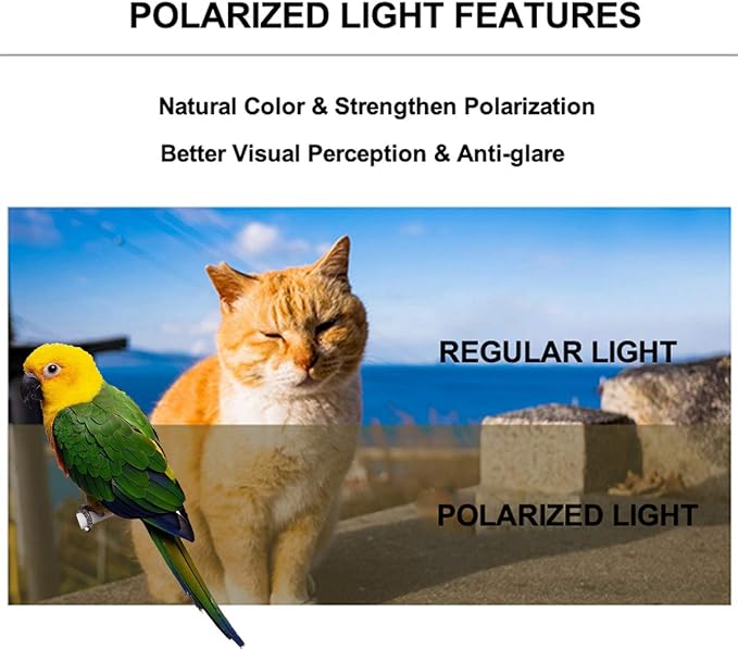 halinfer Bird Traval Carrier Cage, Polarized Tinted Brown Space Capsule Astronaut Backpack to Carry Parakeet Cockatiel Parrot with Metal Tray Wood Perch, Vet Transport Bag