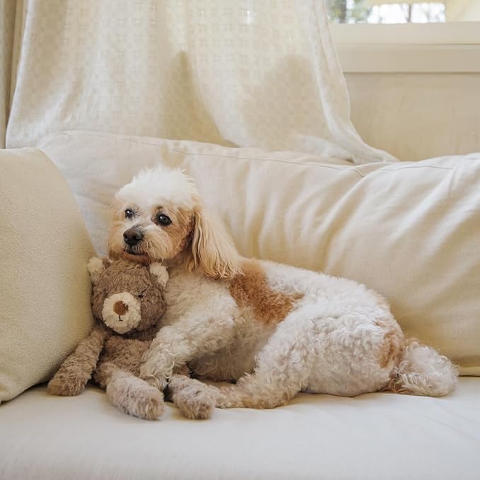 Stuffless Dog Toy, Plush Puppy Squeaky Toy with Bear Design for Foraging Snuggling Fetch Retrieve, No Stuffing Crinkle Snuffle Puzzle Chew Toy for Small Medium and Large Dogs