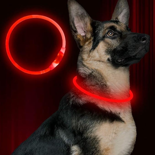 Led Dog Collar, BSEEN USB Rechargeable Flash Dog Necklace Light, Pet Safety Collar Makes Your Beloved Dogs Be Seen at Night for Small Medium Large Dogs(Red)
