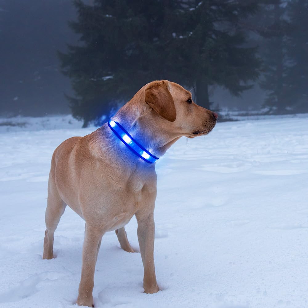 Illumifun LED Dog Collar, USB Rechargeable Light Up Collar Glow in The Dark, Reflcetive Safery Pet Light for Large Dogs Walking at Night (Large, Light Blue)