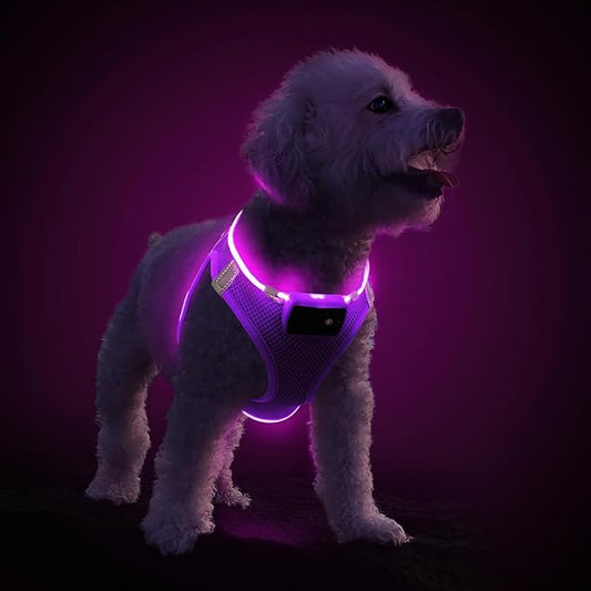 PceoTllar Light Up Dog Harness, LED No Pull Reflective Dog Harness, Flashing Lighted for Night Walking - Small/Medium, (Puplr,S)