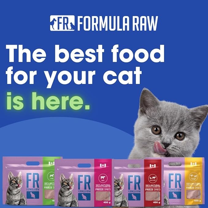 Freeze-Dried Raw Cat Food - Lamb Formula, High Protein, Grain-Free, Whole Ingredients, No Additives, Meal Mixer or Topper - Supports Healthy Digestion, Coat, and Joints
