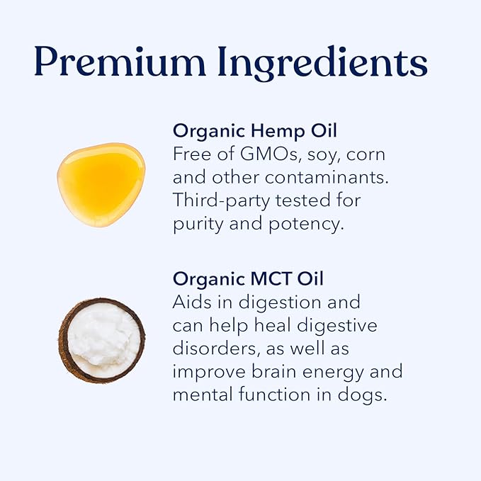 Honest Paws Hemp Oil for Dogs - Natural Hemp Seed Oil Calming Purity Drops for Dogs - Rich in Omega 3 6 9 to Promote Healthy Bones, Joint Support, Relaxation, Managing Normal Stress - Made in The USA