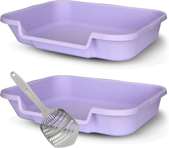 KittyGoHere Senior Cat Litter Box 2 Pack, Large Storybook Lavender Low Entrance Kitty Litter Box, Sized for Cats Comfort, Perfect for Senior & Arthritic Cats, Made in USA, With Long-handle Jumbo Scoop