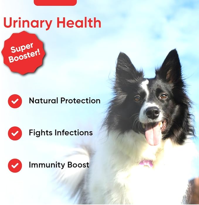 iHeartDogs Extra Strength Urinary, Bladder, & Kidney Support for Dogs – Cranberry, D-Mannose & Echinacea Helps Frequent UTIs, Strengthens Weak & Incontinent Bladder