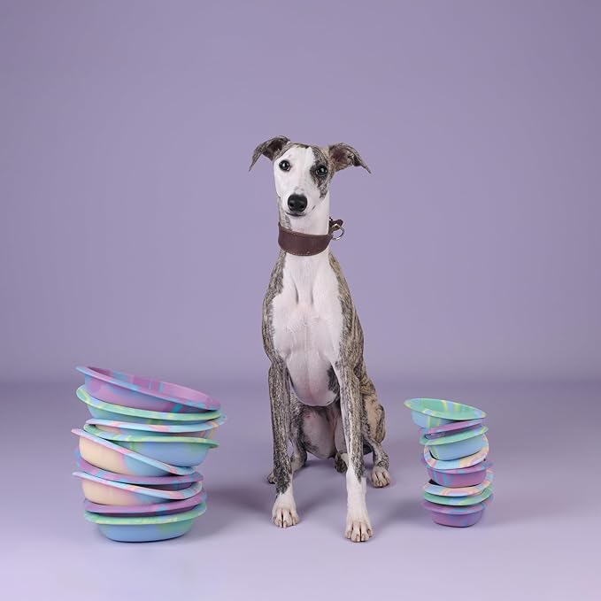 Interactive Dog&Cat Lick Mat Bowls, BPA-Free Silicone Dog Slow Feeder Bowl with Suction Cups, Non Slip Food Bowl for Dogs and Cats, Reduces Boredom and Anxiety, Dishwasher Safe, Rainbow