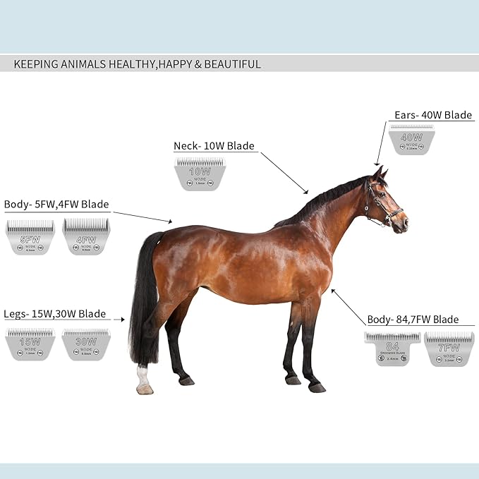 4FW Wide Pet Dog Grooming Detachable Blades,Compatible with Andis,Oster A5,Wahl KM10 Clippers,Cut Length 3/8"(9.5mm) for Larger Animals