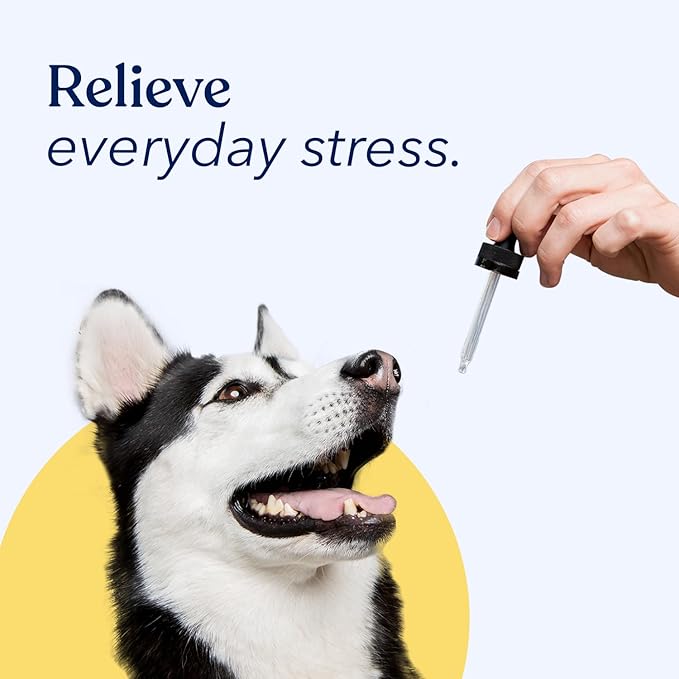 Honest Paws Hemp Oil for Dogs - Natural Hemp Seed Oil Calming Purity Drops for Dogs - Rich in Omega 3 6 9 to Promote Healthy Bones, Joint Support, Relaxation, Managing Normal Stress - Made in The USA