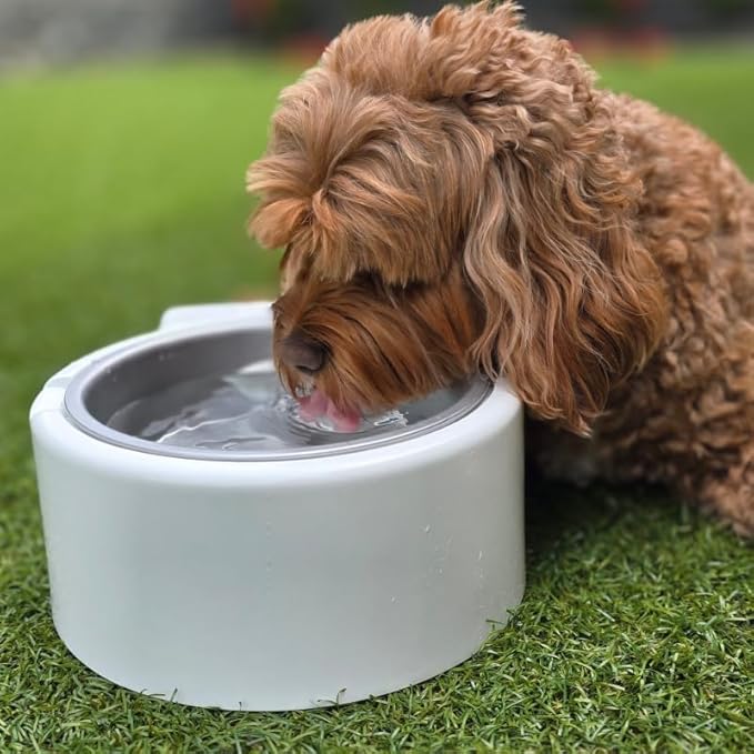 1.2L Cooling Dog Water Bowl – Plug-in Refrigerated Pet Bowl for Large, Medium, Small Dogs – Non-Slip Base, Dishwasher Safe, Keeps Water Cold for Summer Hydration (Pink)