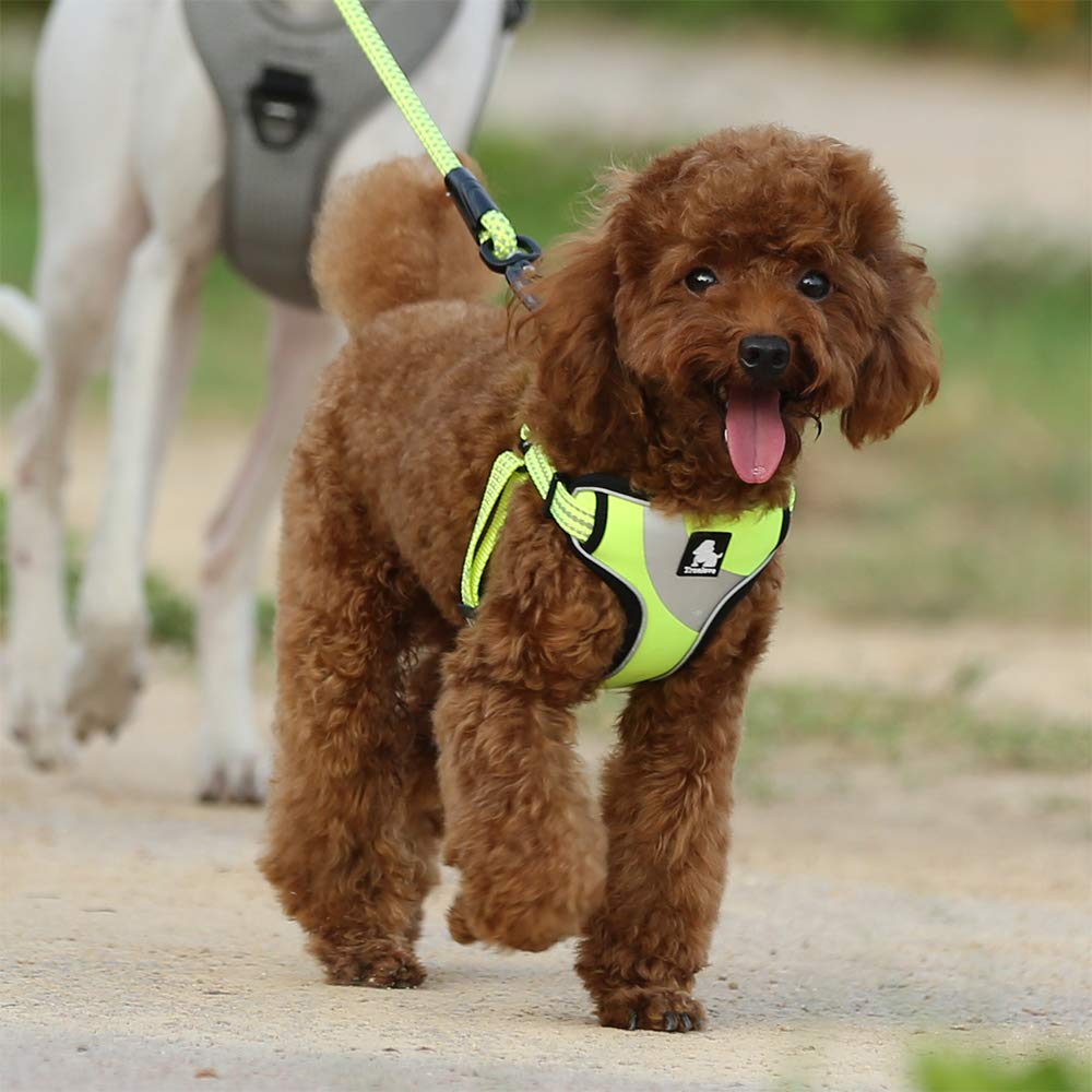 TRUE LOVE Dog Harness TLH5991 Anti Pull Safety Vest Step-in Style Harness for More Comfort and Less Tug Reflective Pet Harness by Truelove Neon Yellow
