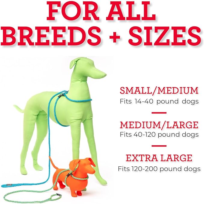 Harness Lead No Pull Dog Harness and Leash Set, Anti Pull Dog Harness, One-Piece Cushioned Rope Safely Prevents Escaping and Pulling *New Insert is Removable (Medium/Large, Pink/Purple)