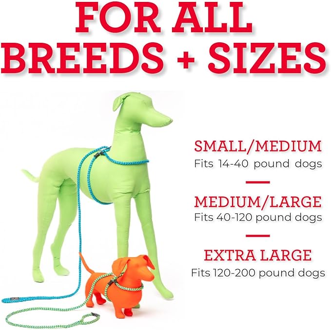 Harness Lead No Pull Dog Harness and Leash Set, Anti Pull Dog Harness for All Breeds and Sizes, One-Piece Cushioned Rope Design Safely Prevents Escaping and Pulling (Medium/Large, Orange/Reflective)